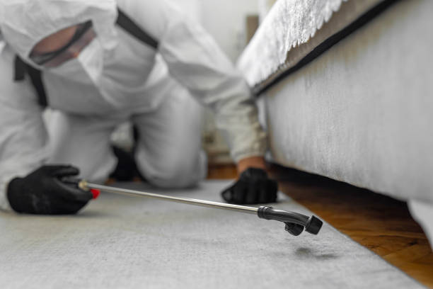 Professional Bed Bug Control technician working in Silver Lake, KS