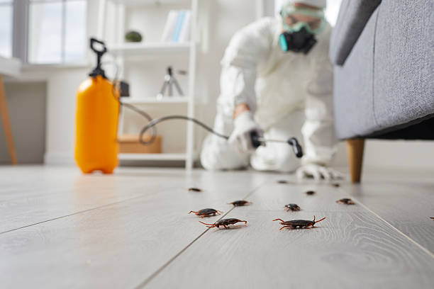 Trusted Fumigation Services service in Silver Lake, KS - Nex Pest Control