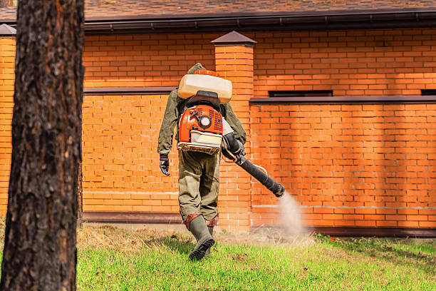 Trusted Ant Control service in Silver Lake, KS - Nex Pest Control